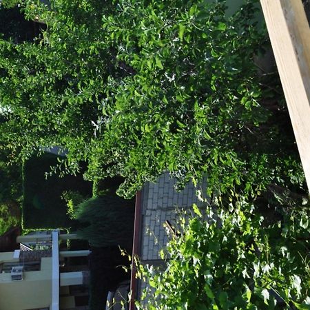 Hotel Dacha v Arkadii Odessa Exterior foto